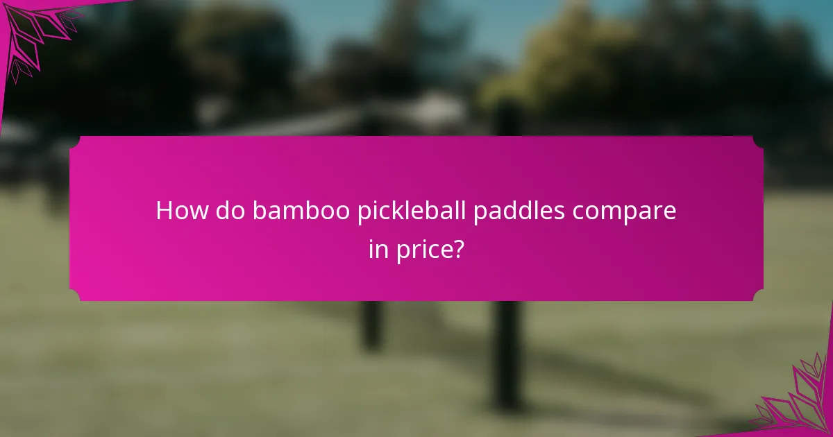 How do bamboo pickleball paddles compare in price?